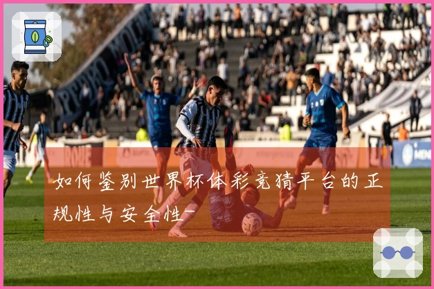 如何鉴别世界杯体彩竞猜平台的正规性与安全性-