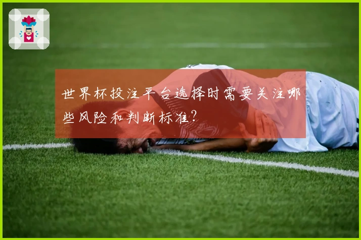 世界杯投注平台选择时需要关注哪些风险和判断标准？