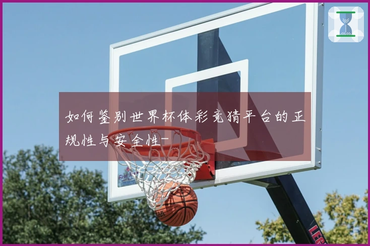 如何鉴别世界杯体彩竞猜平台的正规性与安全性-