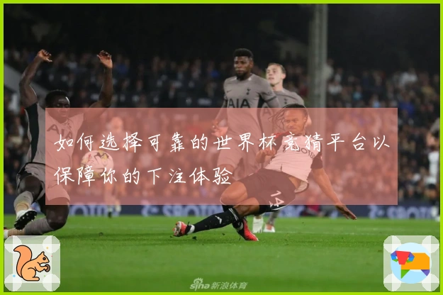 如何选择可靠的世界杯竞猜平台以保障你的下注体验